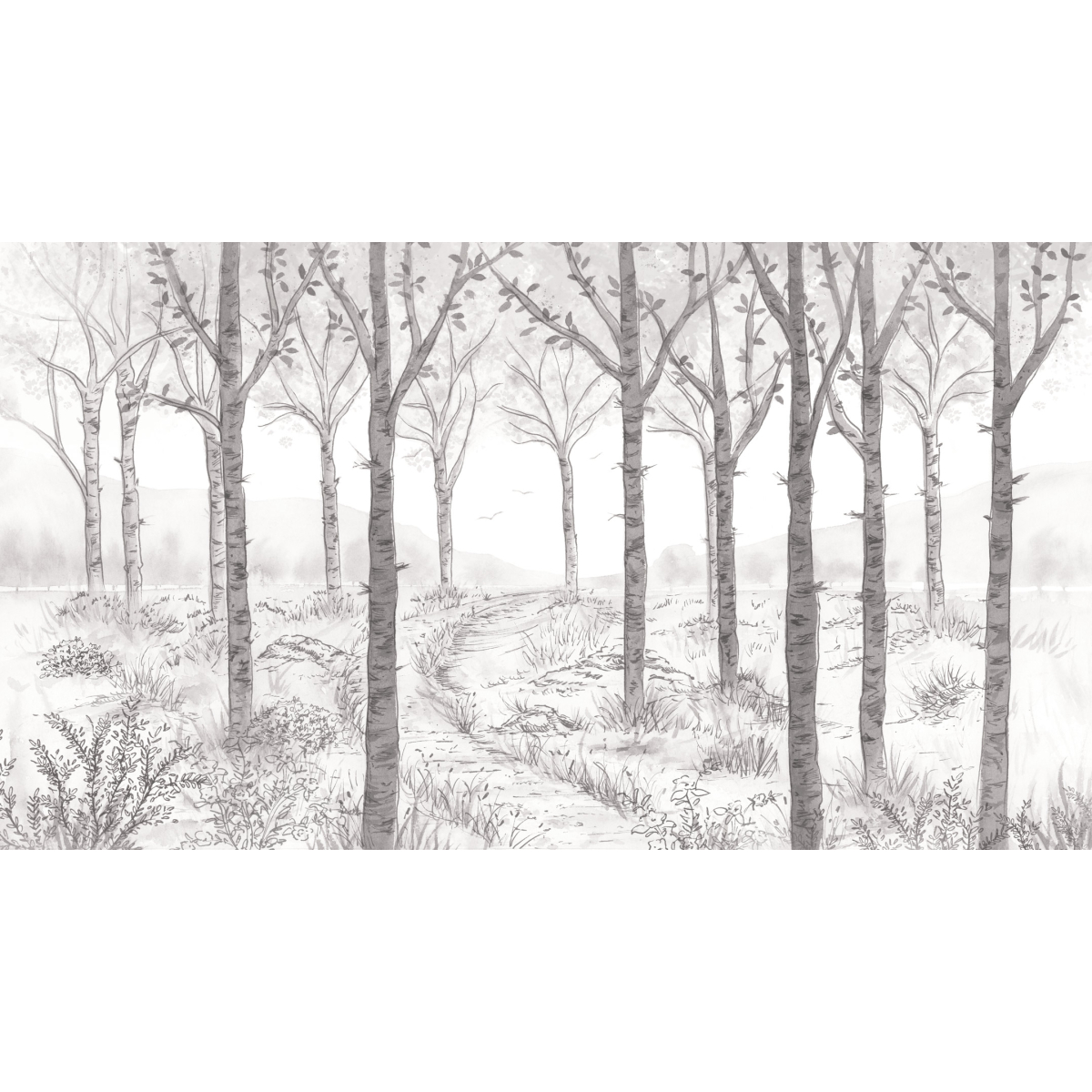 Papel pintado panoramico De bosque de abedules - Colección Noëmie Krey - Acte-Deco