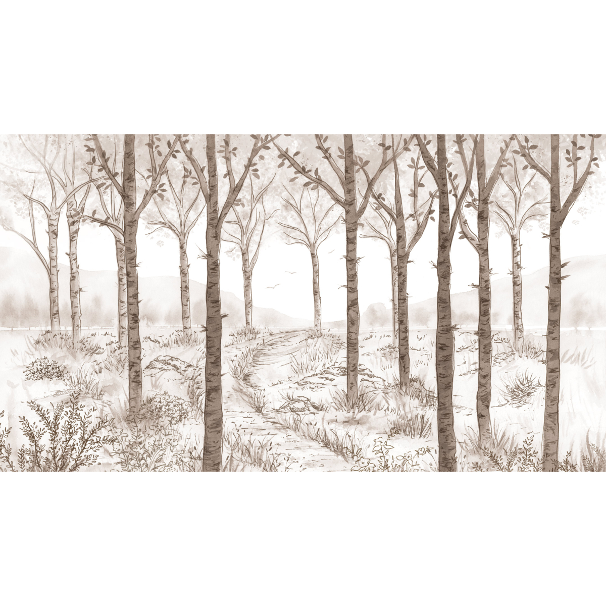 Panorama-Vliestapete Landschaft Birkenwald - Kollektion Noëmie Krey - Acte-Deco