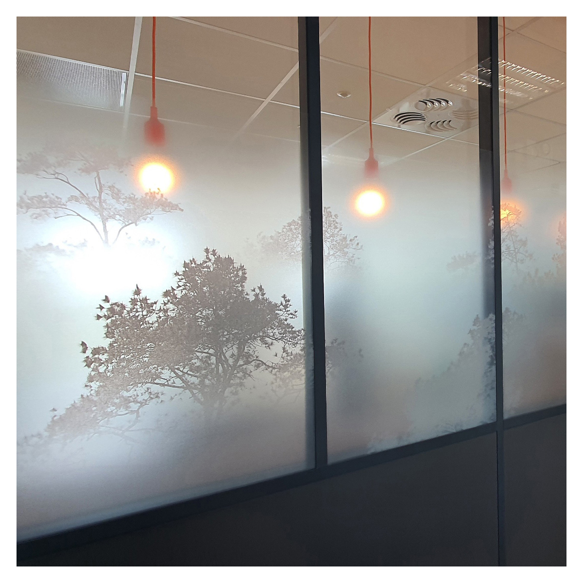 Glazing films and window coverings enhance glazed spaces.