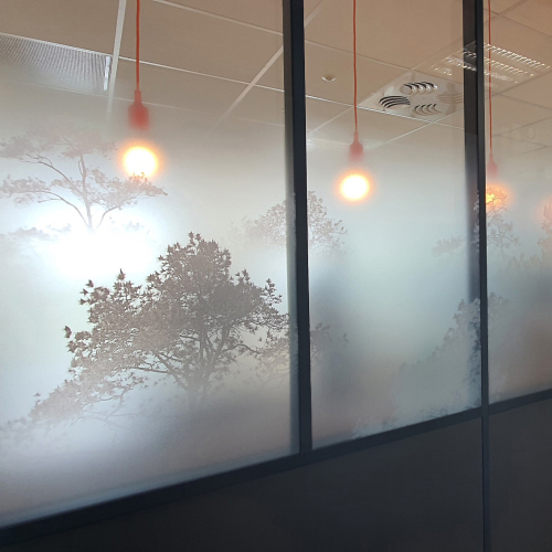 Glazing films and window coverings enhance glazed spaces.