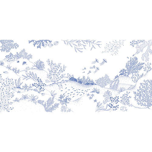 Panoramic wallpaper underwater vegetation - Collection Axelle Design - Acte-Deco