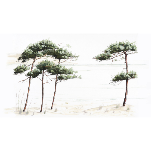 Papel pintado panorámico paisaje de pinos