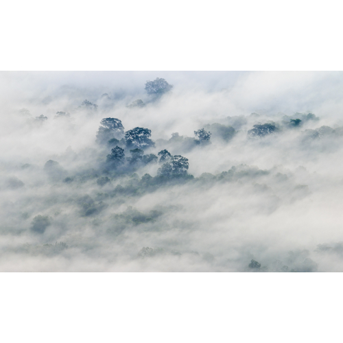 Panoramic wallpaper Morning mist 01 | Acte-Deco