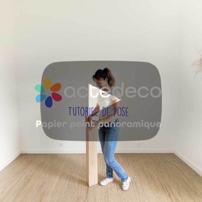 Vidéo TUTO POSE FR